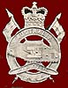 RAAC Corps badge